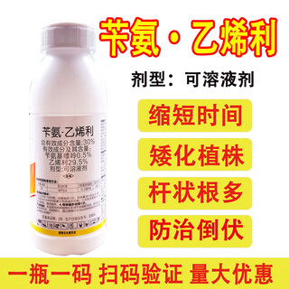 30% benzylamine ethephon special chlormequat for corn to control the growth and increase the yield, anti-lodging growth regulator pesticide, corn control and growth 250g*1 bottle