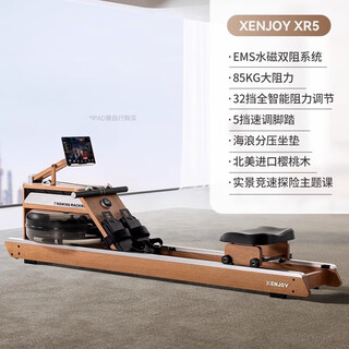 Jueying commercial grade rowing machine xr5 ems hydromagnetic dual resistance home aerobic paddling exercise fitness equipment cherry wood version