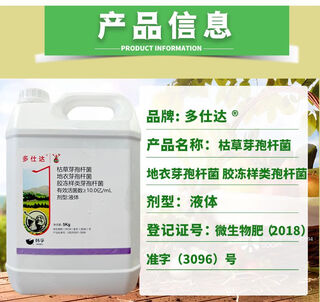 Hanfu bacillus subtilis bacillus licheniformis jelly-like paenibacillus bacteria fertilizer 5kg