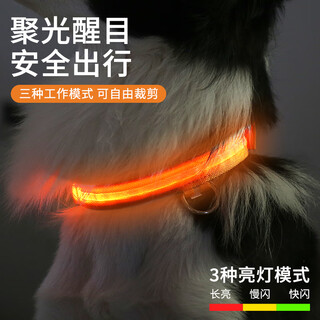 Cute star pet dog luminous collar led neck collar long life cat teddy golden fur border collie pet supplies size s
