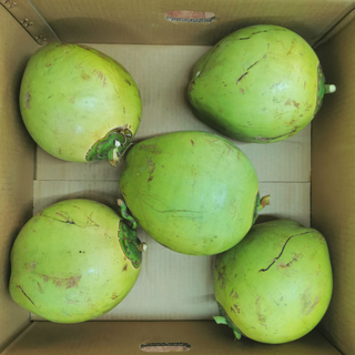 Fresh coconuts from wenchang, hainan, green and skinned coconuts, freshly picked for pregnant women and children, pure natural, no added coconut juice, 5 packs, freshly picked, large fruits selected, 3-5jin jin is equal to 0.5kg