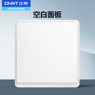 Chint (chnt) switch socket panel household 86-type five-hole wall panel concealed power socket electrician recommended socket frame large panel oblique five-hole 6m bright white blank panel