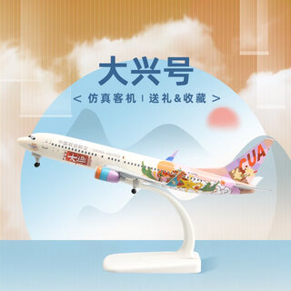 China united airlines base series painted aircraft model-daxing 20cm