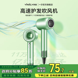 Yi'er hair dryer household negative ion high power does not damage hair constant temperature hair care hair dryer high wind speed drying hair dryer low noise gift to girlfriend and wife goddess green (100 million level negative ion hair care + 110,000 super rpm)
