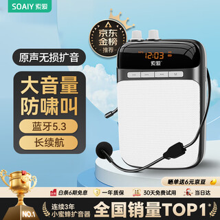 索爱（soaiy）S318小蜜蜂扩音器教师专用蓝牙音箱音响小喇叭TF卡U盘录音麦克风户外导游便携式教学Type-c 黑