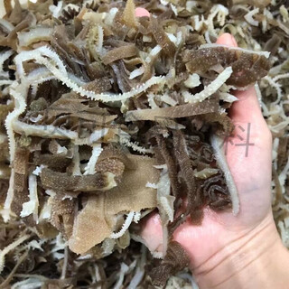 Fresh tripe scraps 5 jin jin is equal to 0.5 kilograms. beef tripe scraps, shredded beef tripe hot pot commercial tripe. mao tripe scraps 5 jin jin is equal to 0.5 kilograms.