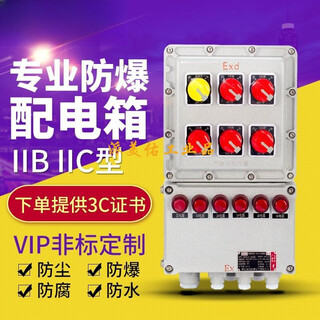 Explosion-proof distribution box control box lighting power box maintenance power socket box switch electric control cabinet stainless steel customization three-circuit + master switch