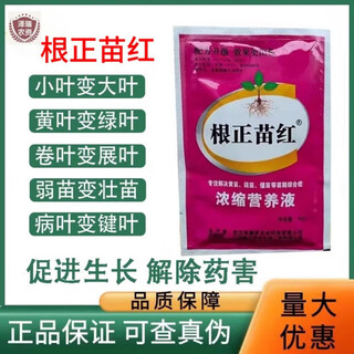 Genzhengmiaohong concentrated nutrient solution amino acid foliar fertilizer rice wheat seedlings flowers and fruit trees yellow leaves weak seedlings stiff seedlings 40g*10 bags