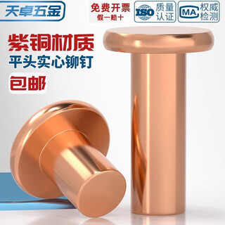Tianzhuo hardware national standard pure red copper percussion solid flat head rivets flat cap copper nails m2m2.5m3m4m5m6m8mm m8*45-3 pcs