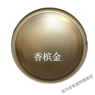 Milan champagne gold self-painting hand-cranked gold glitter gold bronze anti-rust paint metal doors and windows color change car repair champagne gold