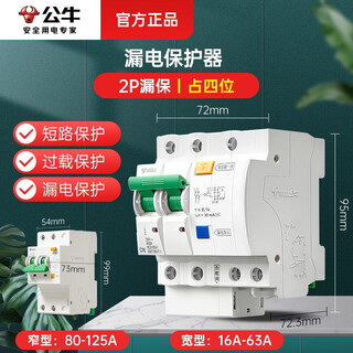 2p空气开关带漏电保护器总开关断路器家用220V热水器63a空开 2P常规漏保 100A