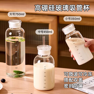 Wellmeet soy milk container glass straw cup yogurt bottle breakfast high temperature resistant milk cup with scale juice storage bottle small size 350ml - double lid model / free straw single piece