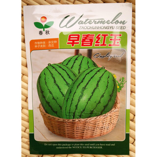 Early spring ruby watermelon seeds japanese fruit seeds sown in four seasons super sweet small watermelon seeds spring early spring ruby 200 original (produced in shouguang)