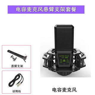 Delijia condenser microphone professional microphone recording studio live broadcast equipment sound card set universal for mobile phones and computers standard square microphone standard + cantilever bracket