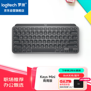 罗技（Logitech）大师系列 MX Keys Mini无线蓝牙键盘 高端办公智能背光 带接收器 商用版 石墨黑