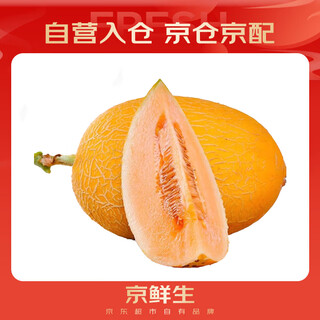 京鲜生 黄金哈密瓜 1粒装 单果3斤起  生鲜水果 