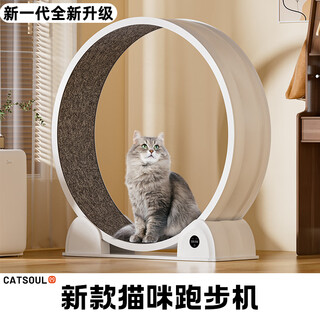 Huayuan pet equipment (hoopet) cat treadmill roller sports fitness silent cat climbing frame household small household large cat indoor running wheel new abs treadmill (digital display) white