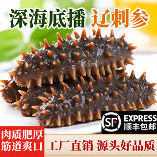 尚月湾即食海参一斤装海参辽刺参海参大连海参净重500g/袋 1斤 7-9头/斤