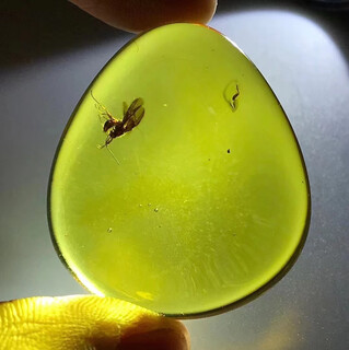 Yongbiao yibiy era jewelry amber insect amber pendant for chinese valentine's day for male and female friends