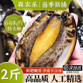 Sennongle abalone fresh frozen extra large fresh large shellfish seafood aquatic products extra large ready-to-eat buddha jumping over the wall ingredients abalone juice 10-12 pieces/jin jin is equal to 0.5 kg large abalone 1 jin jin is equal to 0.5 kg. the meat is rich and fat.