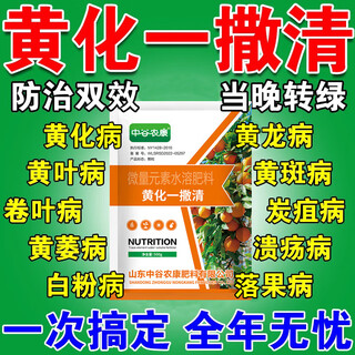 Yellowing and clearing the yellowing disease of fruit trees, supplementing nutrition and turning green leaves of fruit trees, citrus and orange huanglongbing special fertilizer, 3 bags of yellowing and clearing