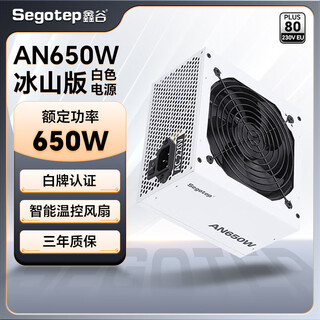 鑫谷（segotep）电源550W/650W/750W台式机电源AN系列白牌直出组装电脑台式机电源 80plus/3C认证  AN650W 冰山版 白牌 电源