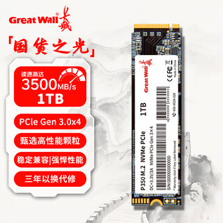 长城 SSD固态硬盘 M.2接口(NVMe协议)PCIe 3.0x4 P350系列 读速可高达3500MB/s  AI PC存储配件 P350-1TB 旗舰款
