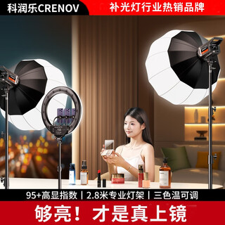 Kerunle live broadcast fill light 100w professional cob photography spherical light anchor with beauty lighting indoor studio portrait photography video shooting soft light