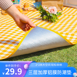 Shiyun picnic mat thickened aluminum film camping mat beach moisture-proof mat picnic picnic cloth lawn mat outdoor tent mat