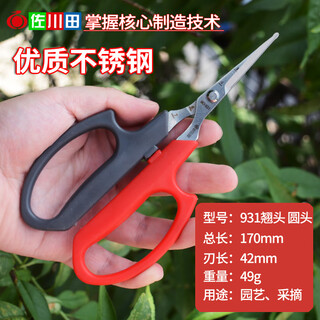 佐川田931稀果剪翘头采果剪修花园艺剪葡萄疏花疏花采摘摘果剪刀 佐川田931翘圆头葡萄剪