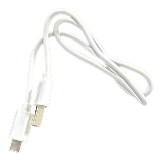 Youdao dictionary pen