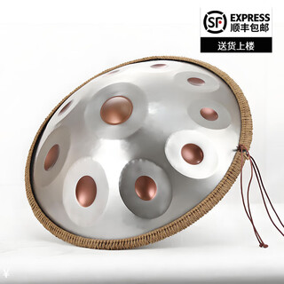 白龙吟Handpan手碟鼓乐器D小调打击乐器入门级初学专业手碟9音10音12音 黄金眼 12音【专业款】