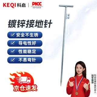 Keqi grounding pin grounding pile lightning rod household grounding rod engineering lightning protection grounding polar pole t-shaped hot-plated welding plate t-shaped 16mm*800mm cold galvanized