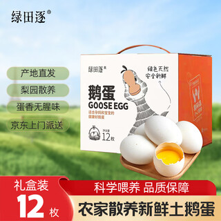 Lutianzhu fresh goose eggs free range goose eggs 12 pieces 2.7 jin jin equal to 0.5 kg gift box straight from the source