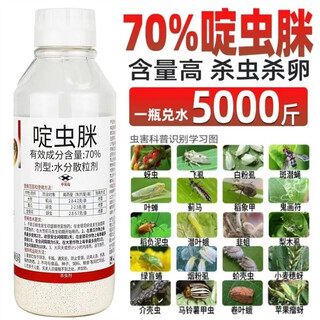 70% acetamiprid insecticide, aphid, thrips, scale insect, whitefly, small black fly, small white insecticide for fruit trees and flowers, 500g