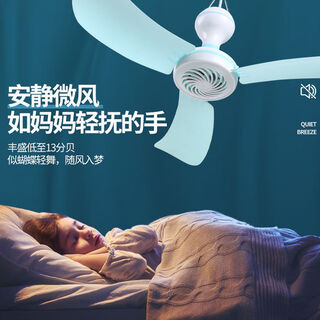 Small cleaners choose baby mosquito net special ceiling fan mini small bed hanging soft leaf household with remote control yurt dormitory children's hanging fan 553 hanging + 3 meters remote control cord (soft wind)