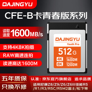 Dajingyu big whale high speed cfexpress memory card cfe-b image card cfe type b camera memory card suitable for canon sony nikon slr value recommendation youth edition-512gb memory card + card reader