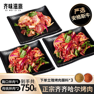 Qiweizilu authentic qiqihar barbecue net weight 750g combo pack traditional*2+breast beef barbeque ingredients set