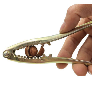 Qinkai - special pine nut and hazelnut clamp nut pliers pine nut pecan clamp dried fruit opener 1 price
