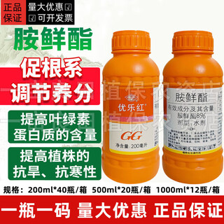 Guoguang youlehong 8% aminobutanol coloring increases root production, promotes cell division, preserves flowers and fruits growth regulator 200ml