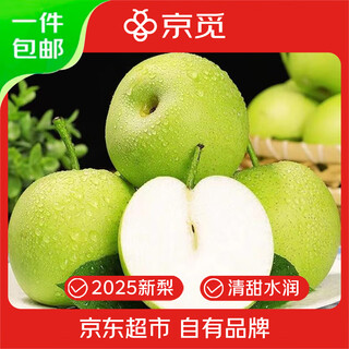 京觅砀山青梨 翠冠梨 水果梨子 净重5斤单果230g+源头直发 包邮