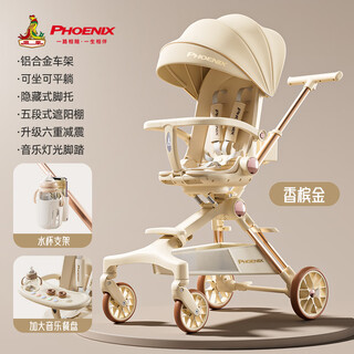 Cochecito de bebé phoenix para 0-6 años, cochecito de bebé bidireccional con vistas altas, ligero, plegable, sentado y acostado, champagne gold 丨pippen+promoción bidireccional+seis amortiguadores