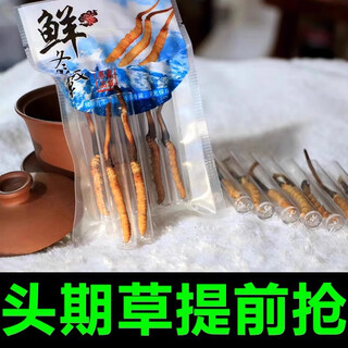 新鲜冬虫夏草2025年头期正品高海拔鲜虫草领导过节送礼送长辈 1.0~1.2克/根-100根鲜虫草