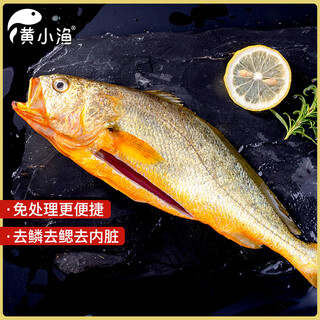 Huang xiaoyu ningde sande yellow croaker 800g/piece large yellow croaker fresh fish marine fish seafood aquatic products