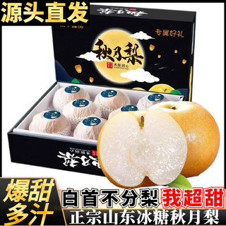 甜萌果蔬正宗山东秋月梨 脆甜冰糖梨子新鲜水果孕妇中秋礼盒送礼整箱 5斤精选装（约7-11个）净重4.5斤