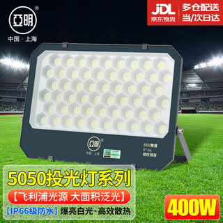 Yaming led floodlight spotlight outdoor waterproof industrial workshop factory outdoor lighting courtyard searchlight ip66 grade 400w white light