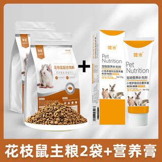 Monolingual squirrel rat special staple food full-price food for all ages vitamin nutrition rat food supplies feed food snacks squirrel rat food 2 bags + nutritional paste 1 box 120g