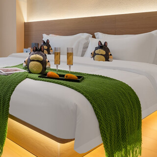 My neighbor totoro adventure king room