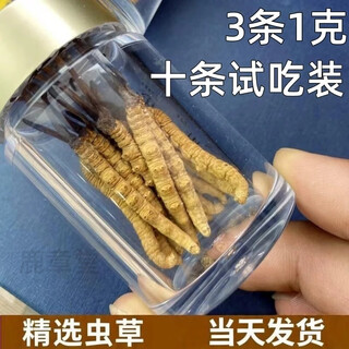 西那藏曲冬虫夏草精选虫草足干虫草高海拔头期冬虫夏草礼盒可选 西藏那曲虫草3根1克合计10条装