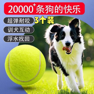 Lilang pet elastic wear-resistant tennis dog toy interactive washable teeth cleaning ball teething toy ball bite-resistant toy green tennis ball 3 pack diameter approximately 6.3cm